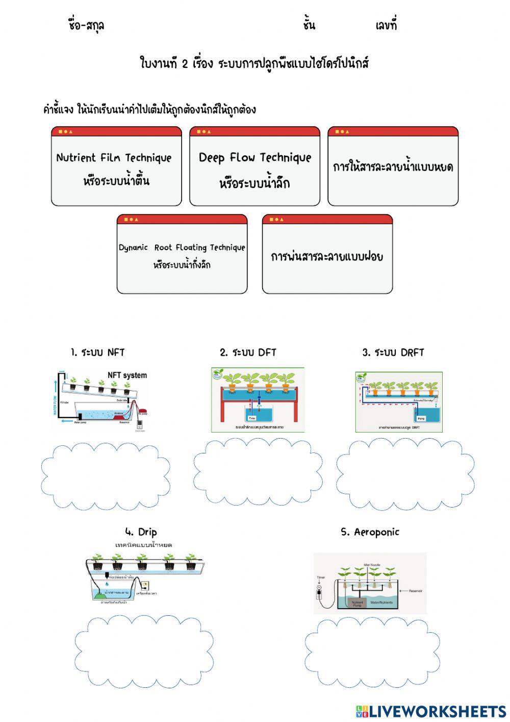 ใบงานที่ 2 ระบบการปลูพืชแบบไฮโดรโปนิกส์