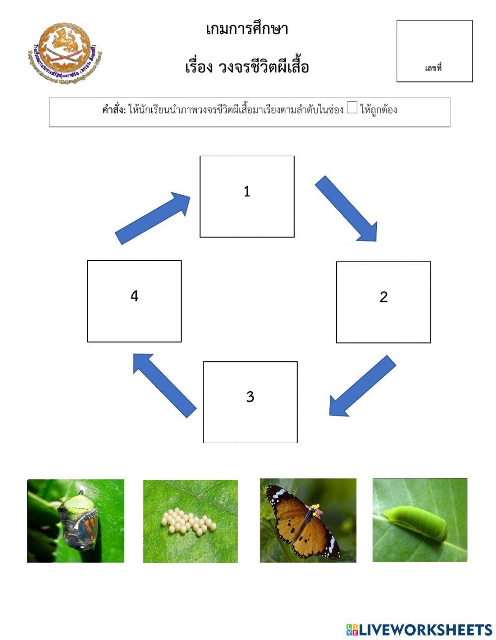 เกมการศึกษา วงจรชีวิตผีเสื้อ