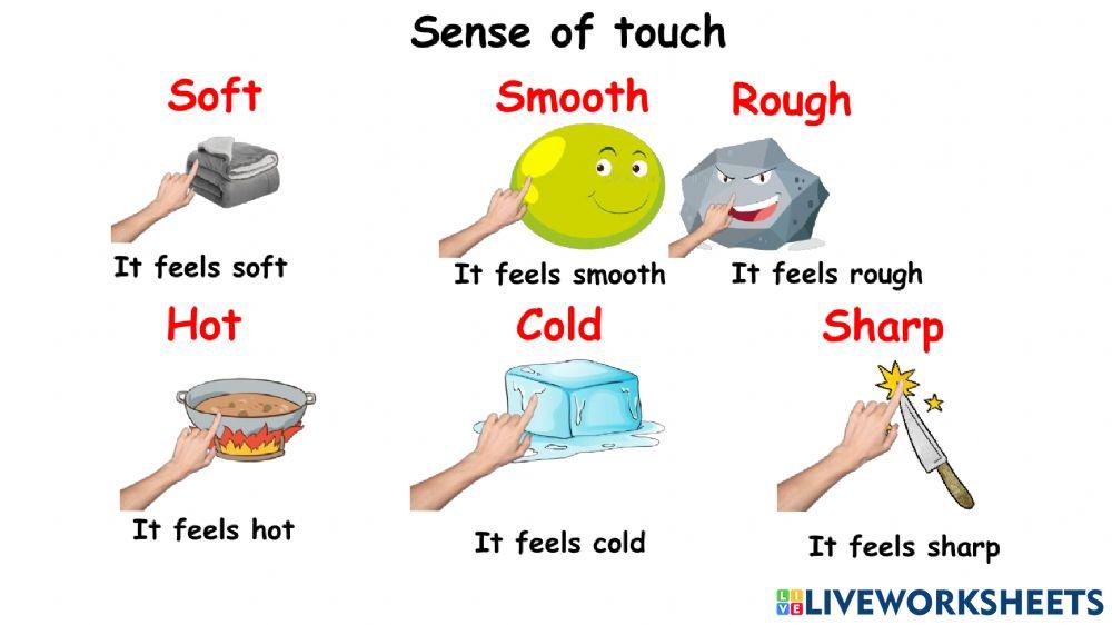 Sense of touch online worksheet for 1