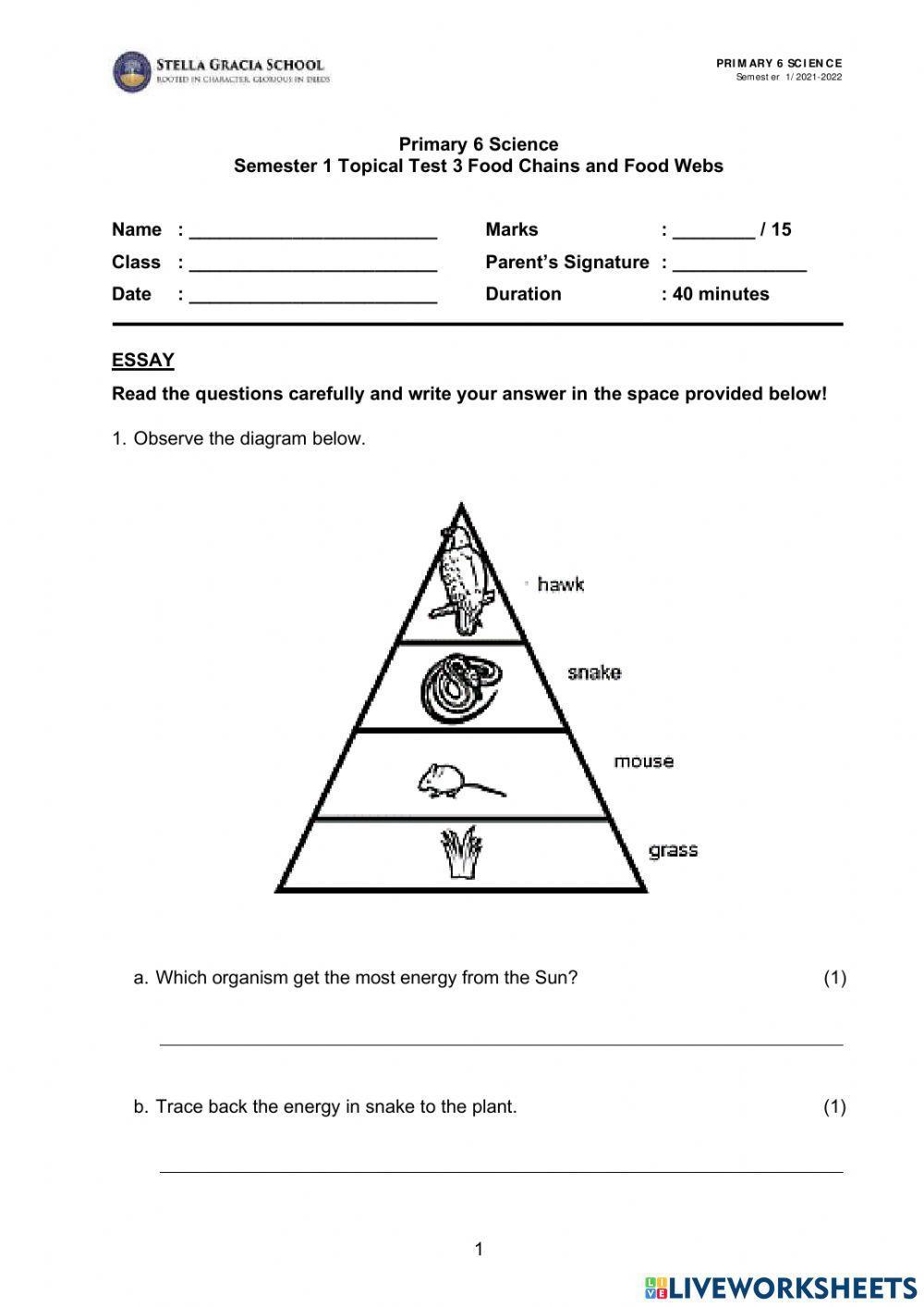 Food Chains and Food webs