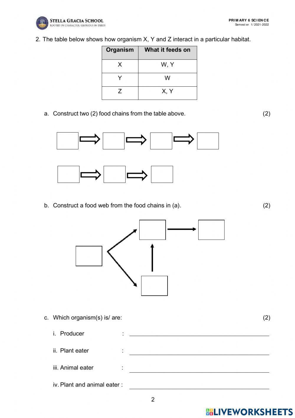 Food Chains and Food webs