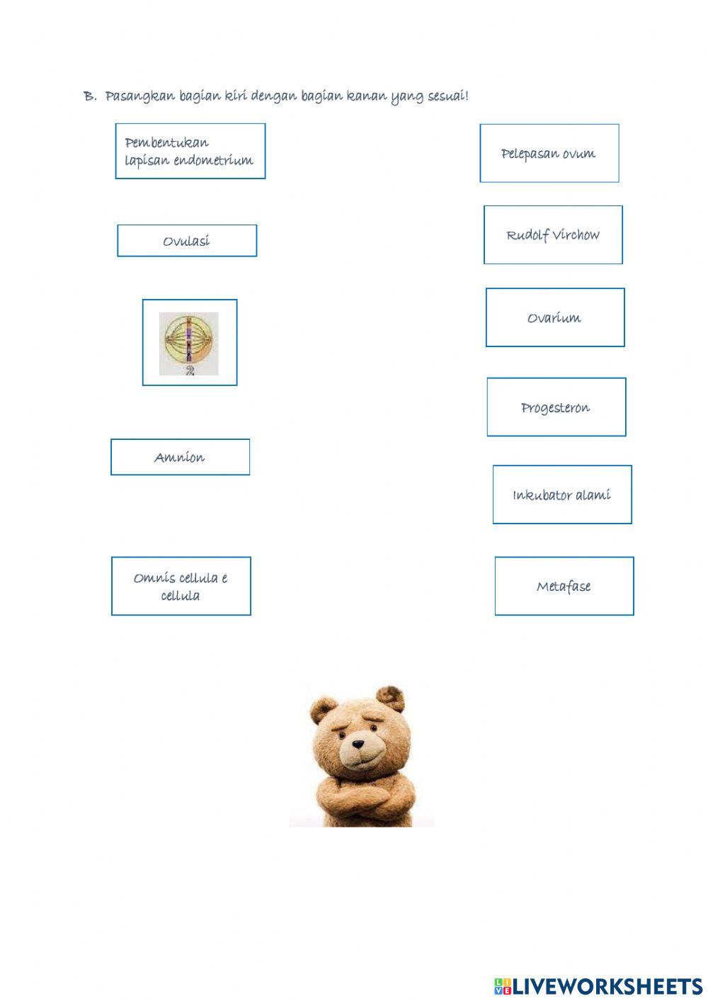 PH 1 Sistem Reproduksi Manusia