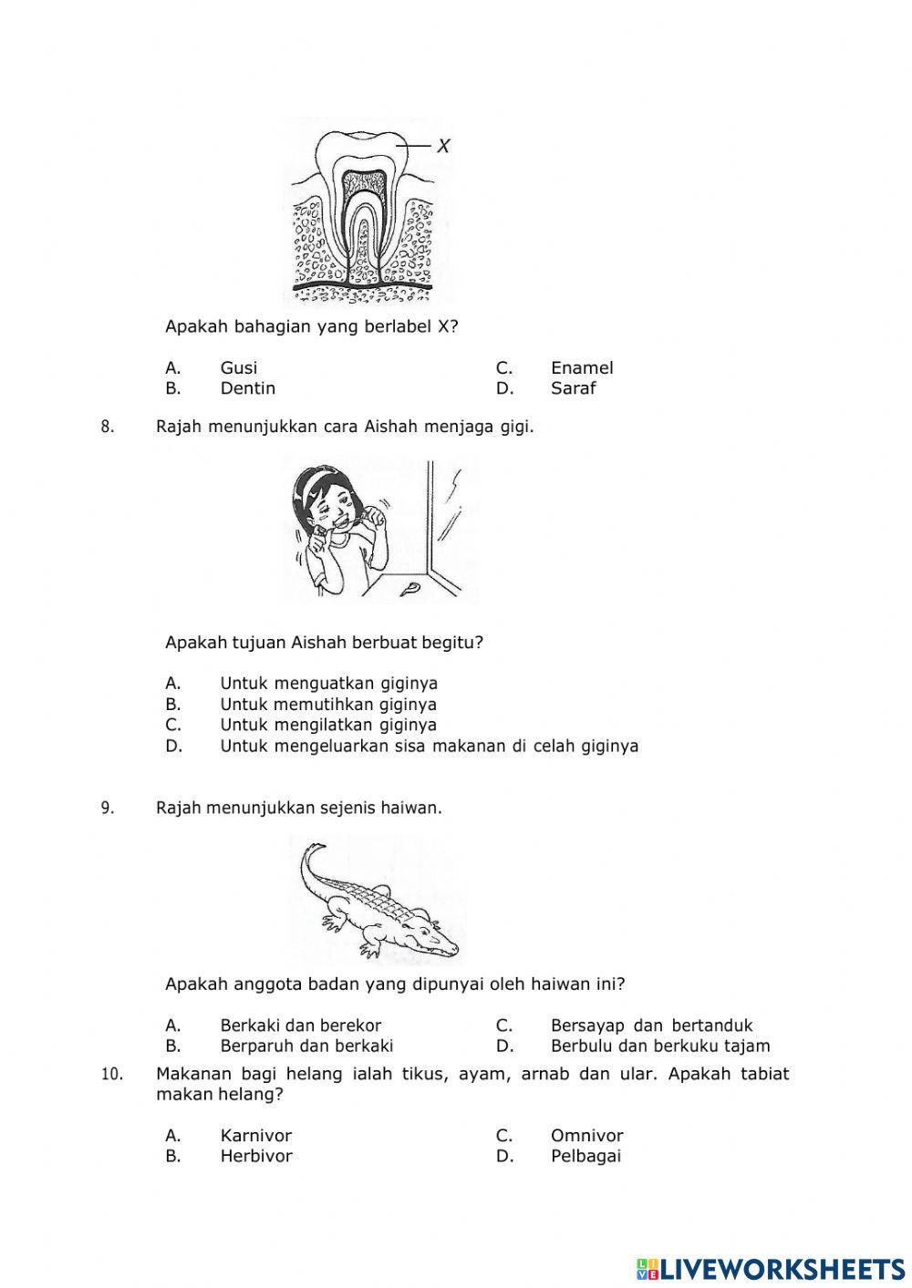 Pentaksiran Sumatif Sains Tahun 3