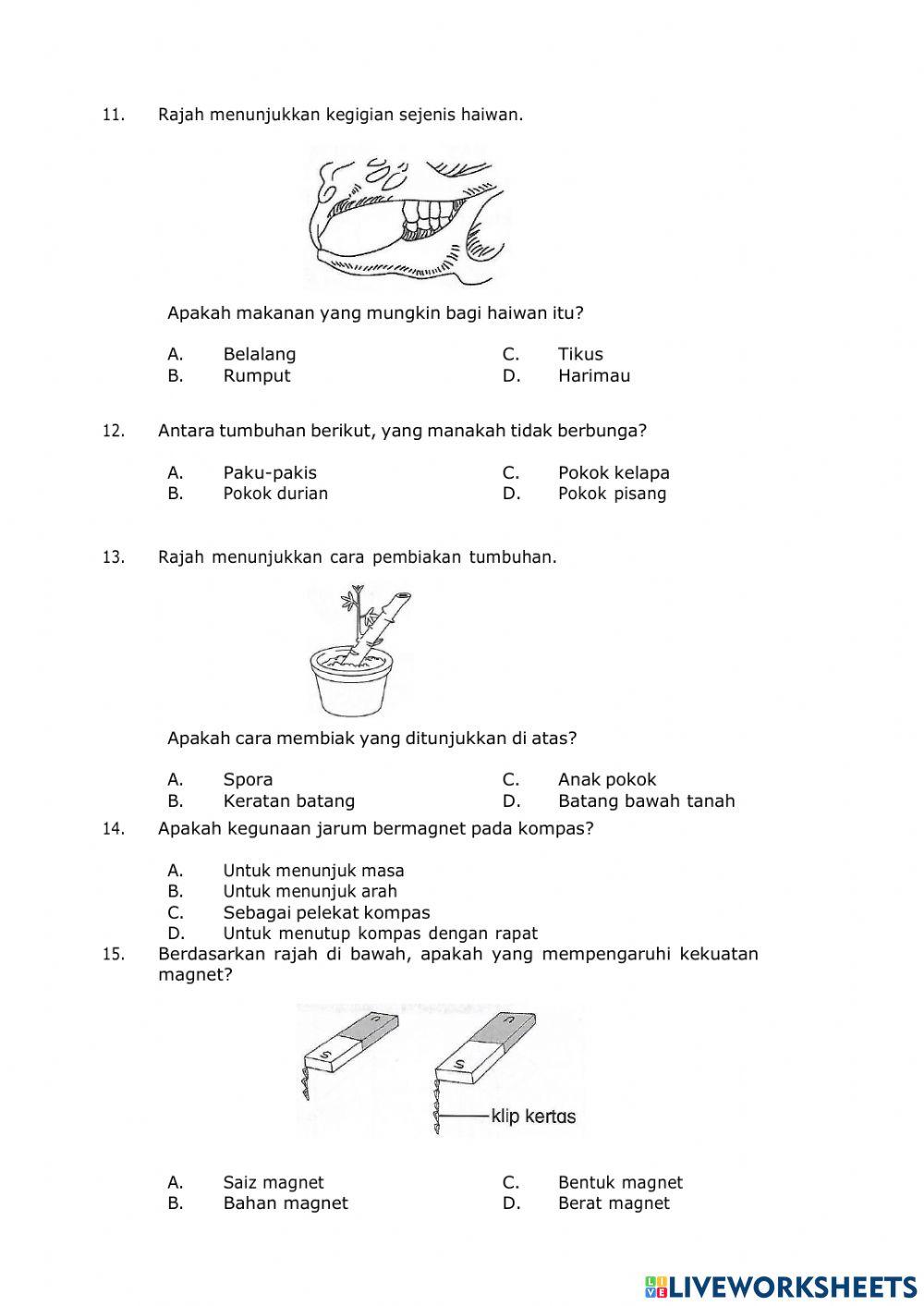 Pentaksiran Sumatif Sains Tahun 3