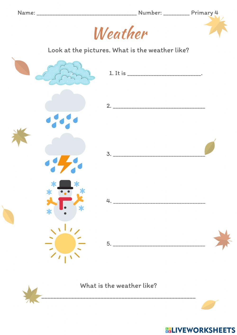 What's the weather like?