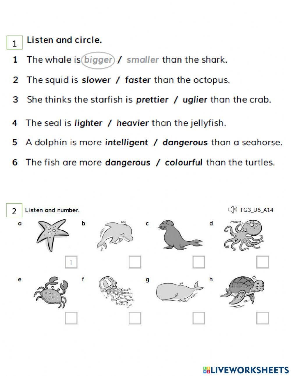 Academy stars 3 unit 6