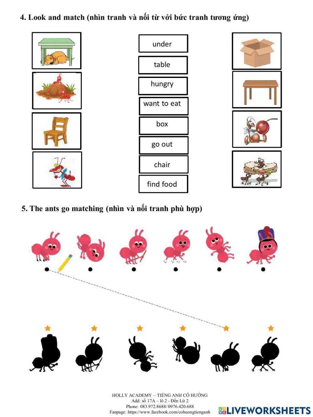 Ice-cream WS 19-hungry ant-27.11