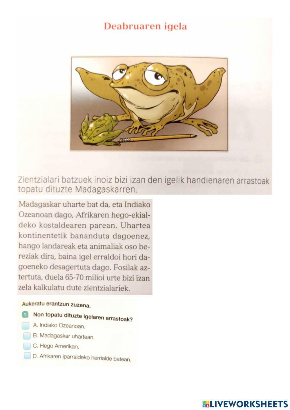 Igel erraldoia Madagaskarren (moldatua)