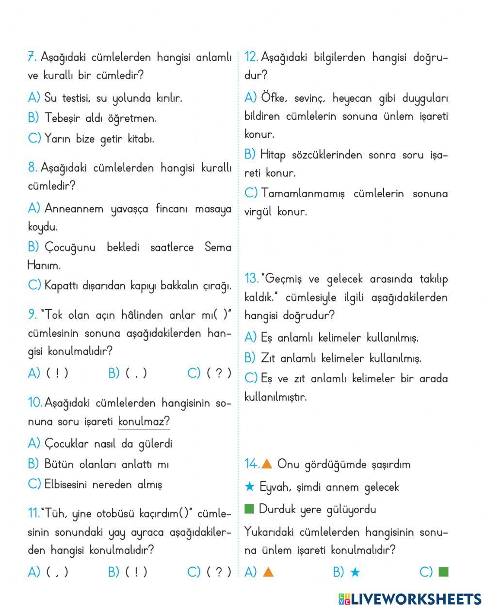 Türkçe 8. Hafta Testi