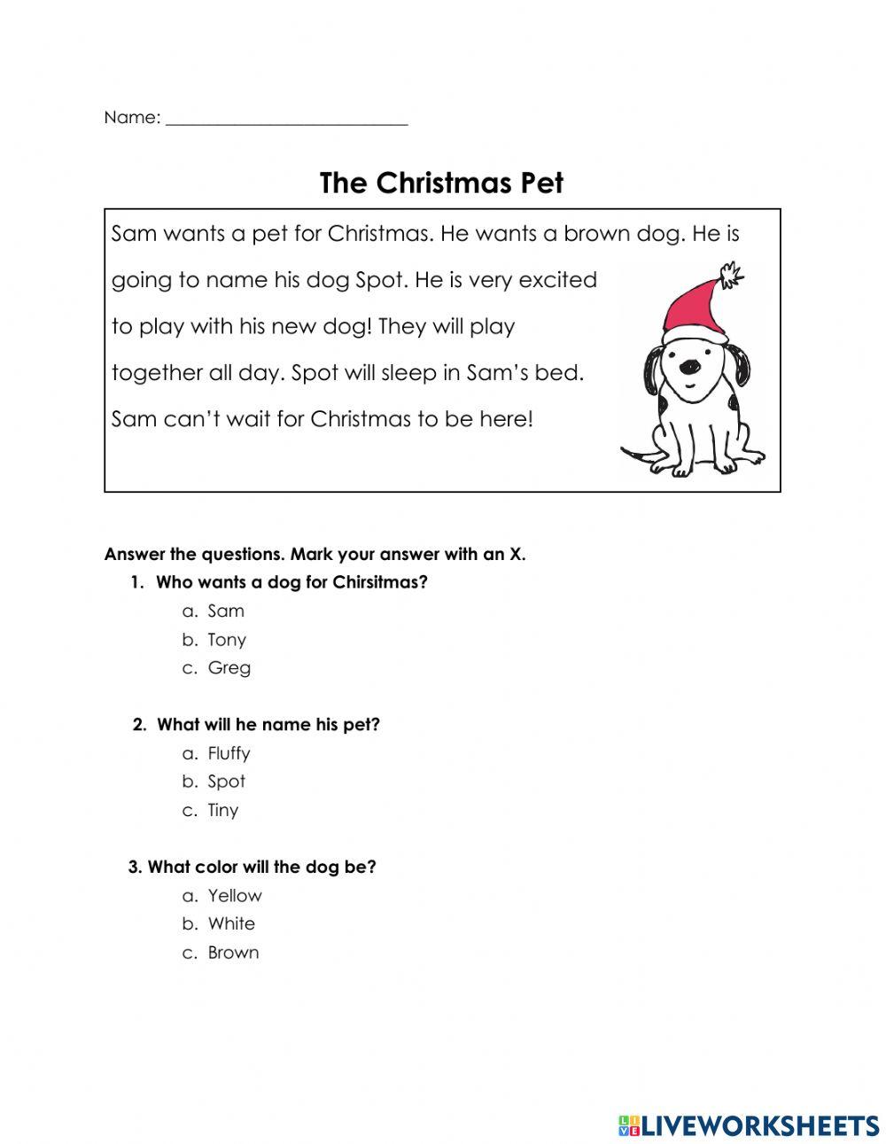 Reading Comprehension Christmas Pet