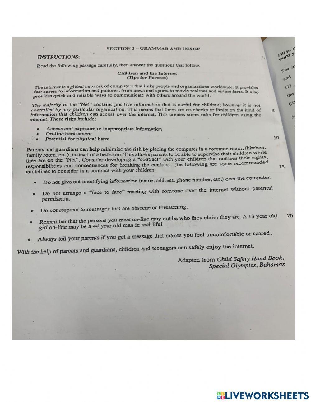 BJC Grammar and Usage: Children and Internet