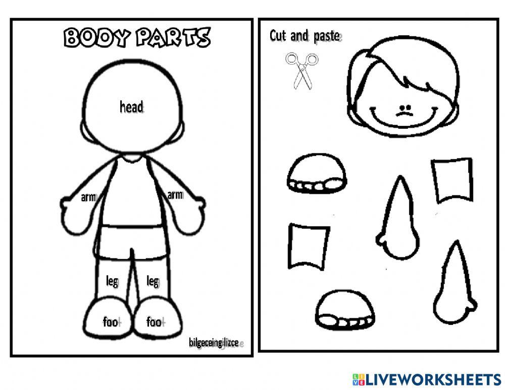cut and paste body 6782601 chickarko LiveWorksheets