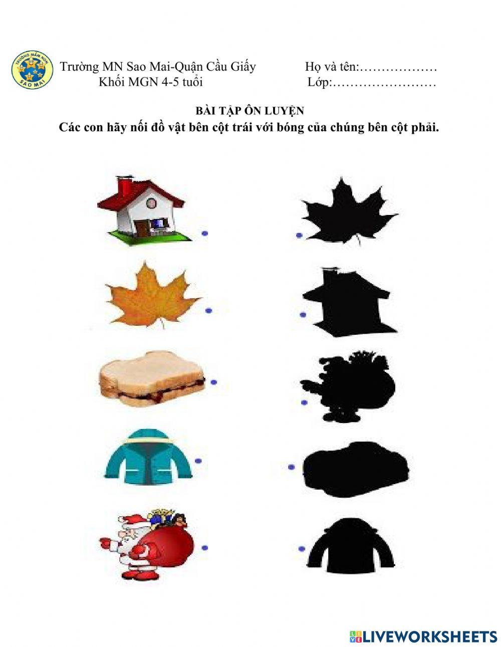 Nối hình với bóng