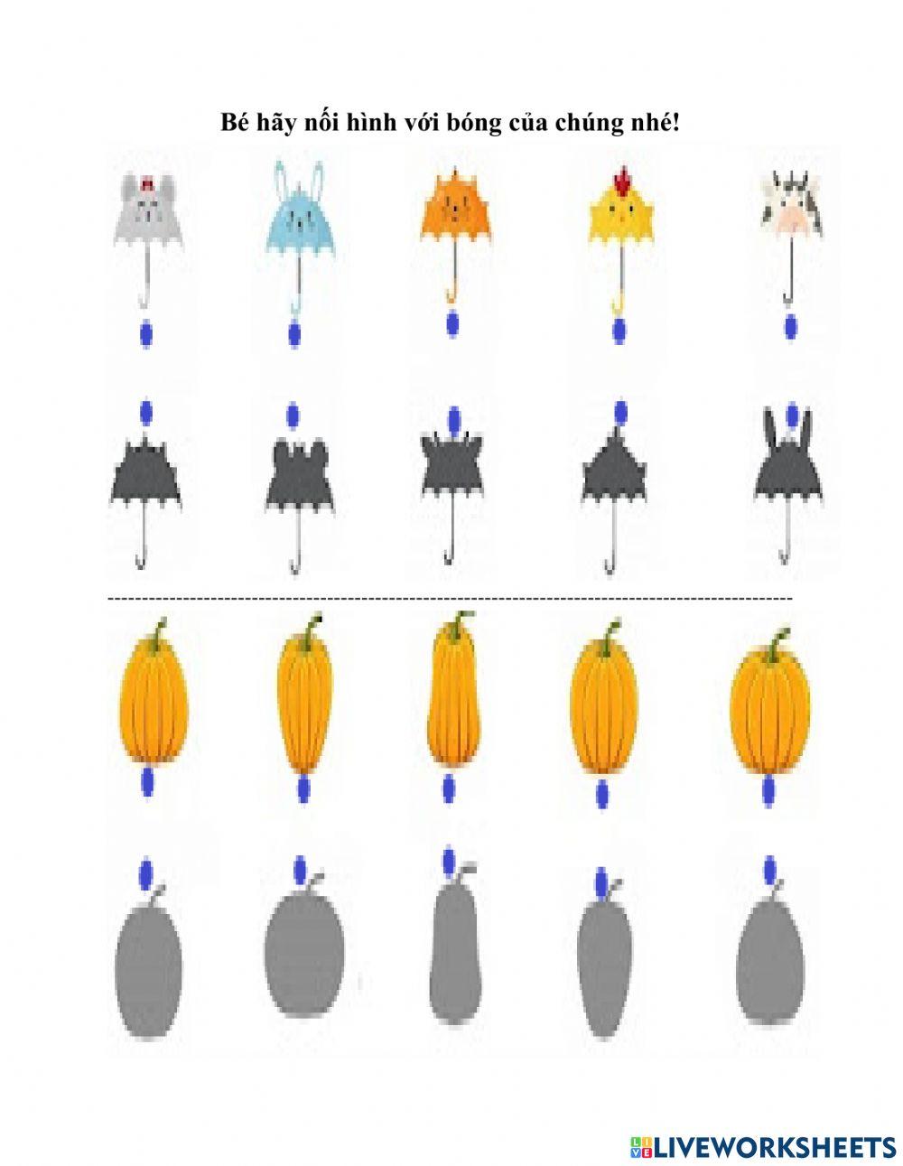 Nối hình với bóng