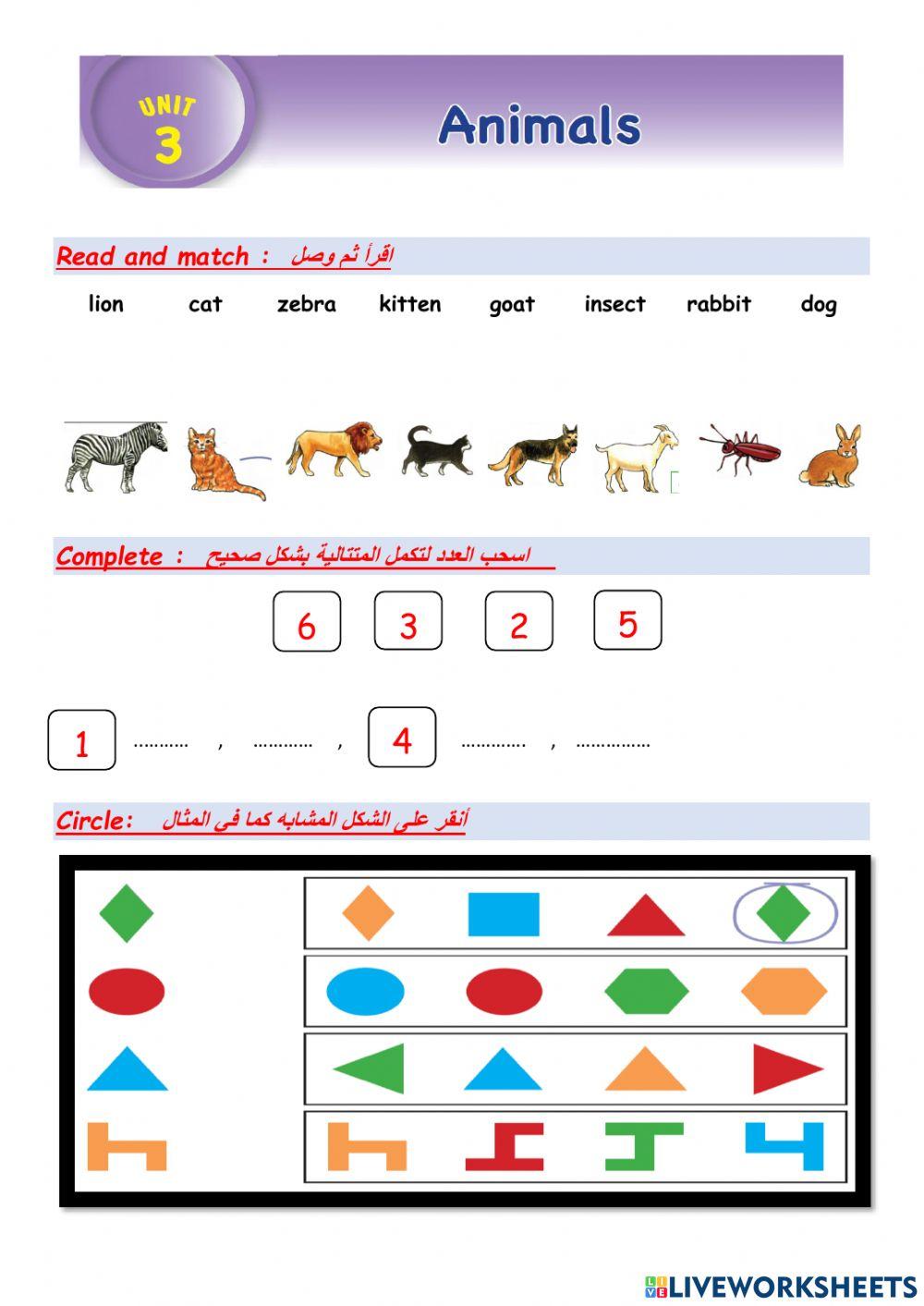 Grade one- unit three worksheet | Live Worksheets