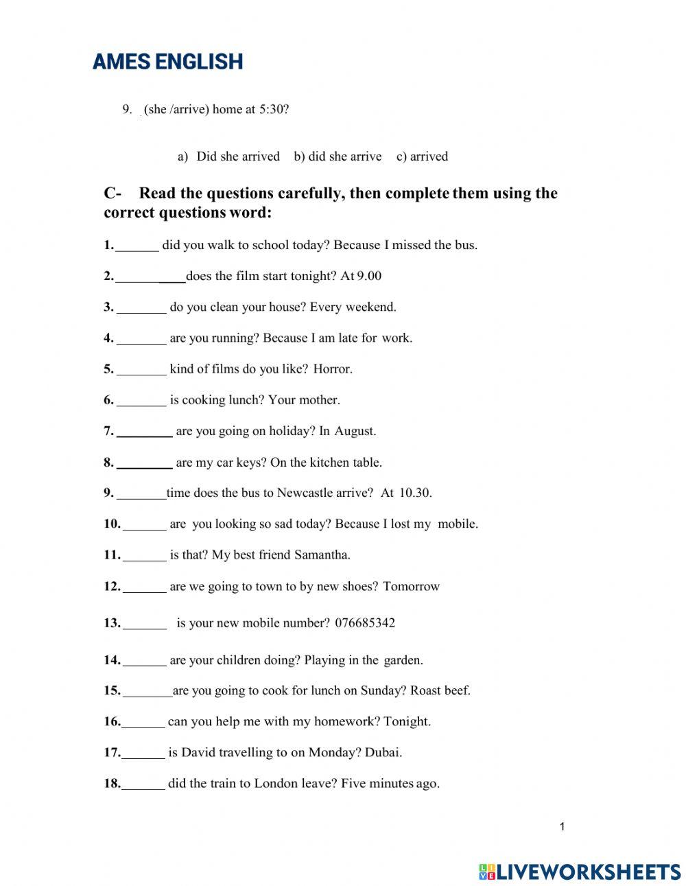 Past Simple and Wh questions