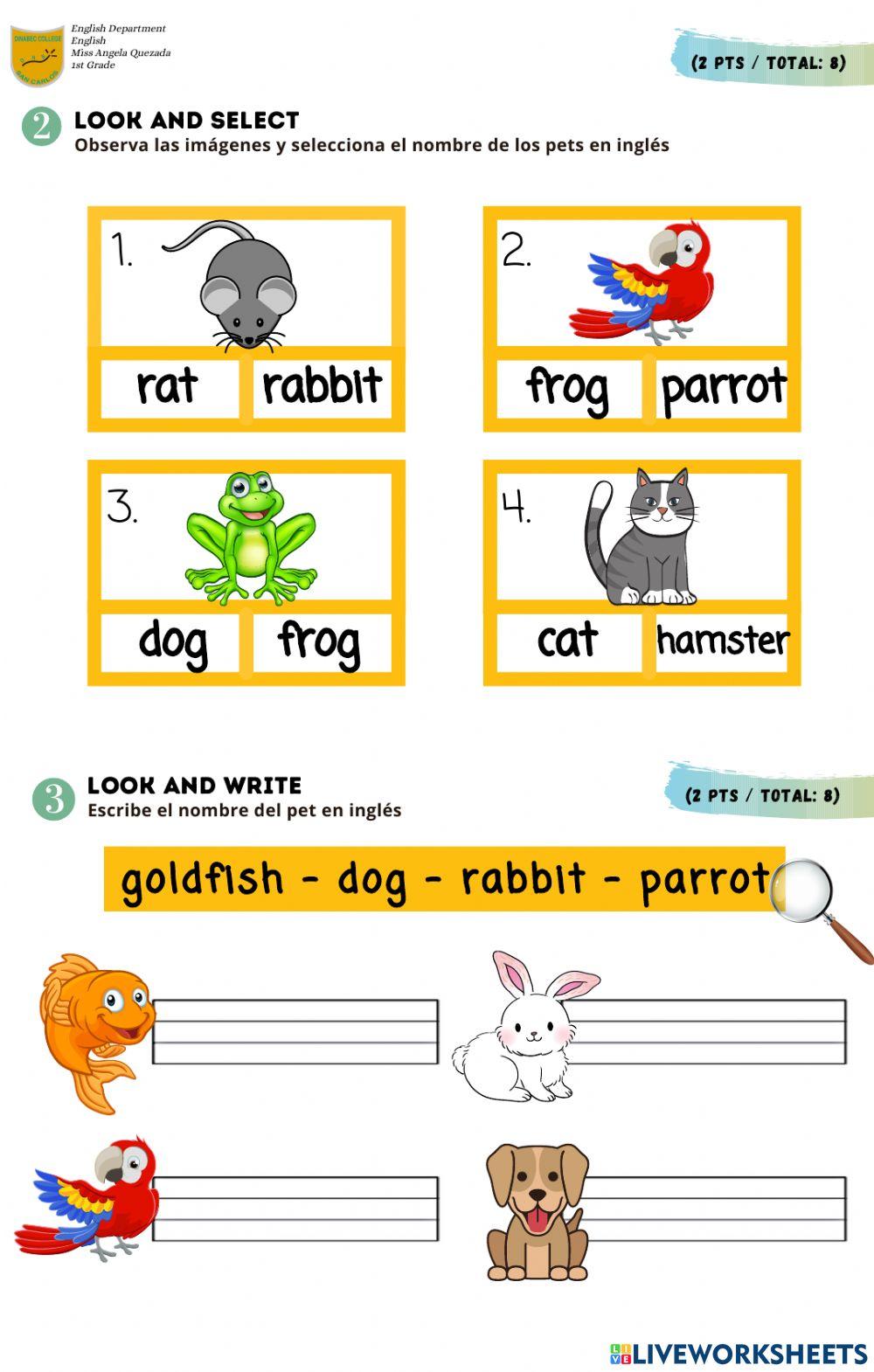1st Grade - English Test -Pets-