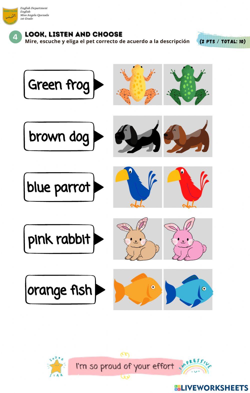 1st Grade - English Test -Pets-