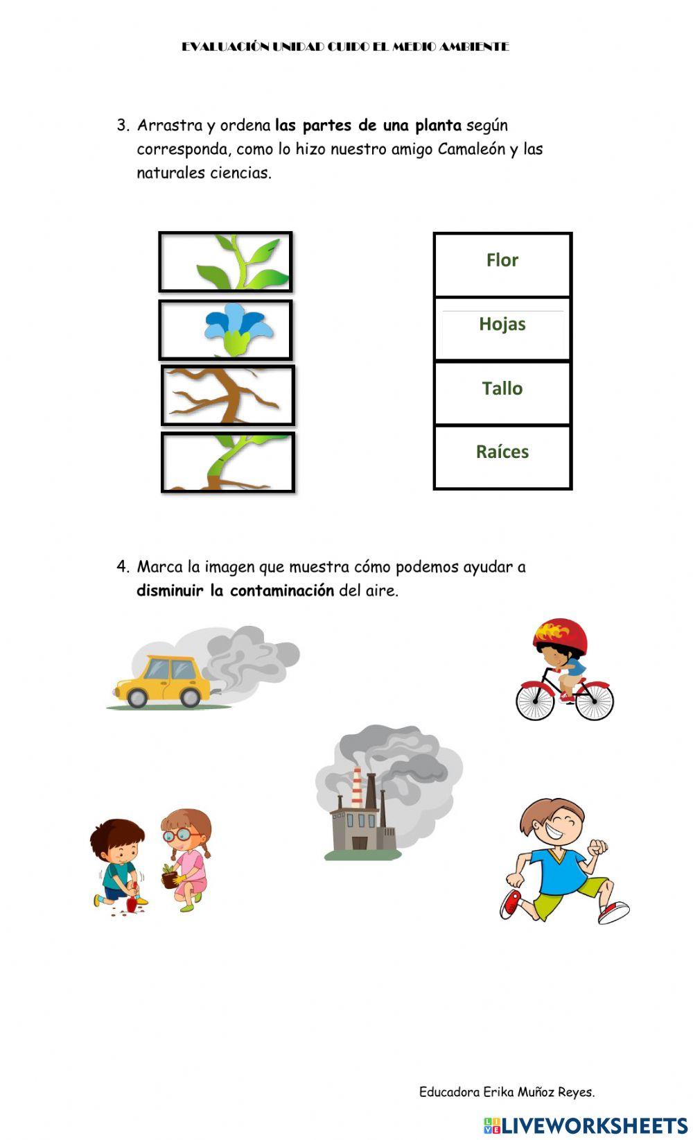Unidad cuido el medio ambiente