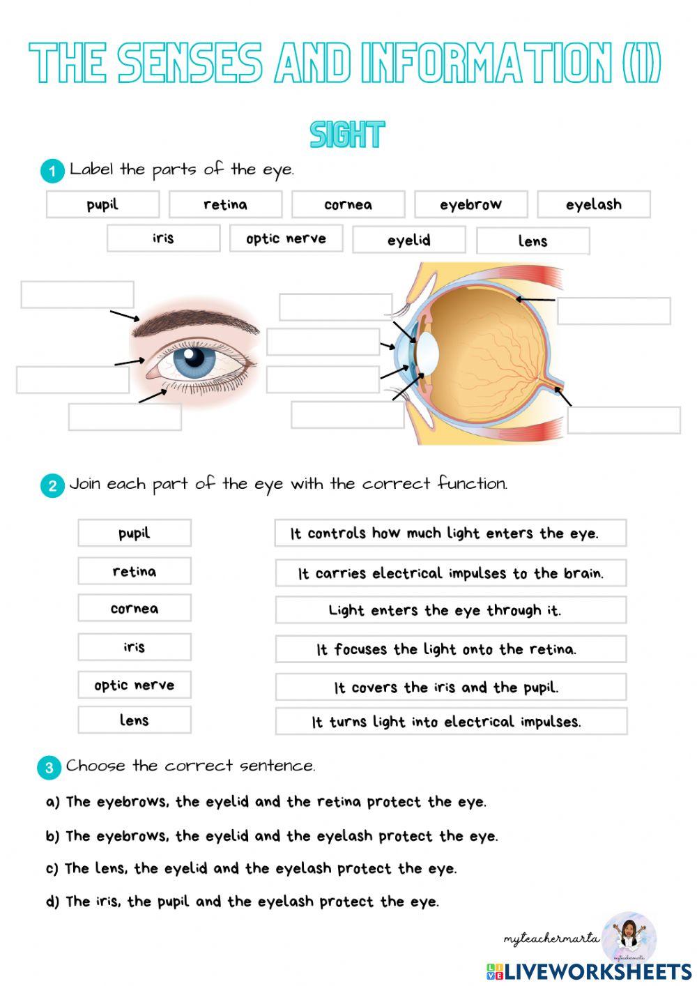 The senses and information 1