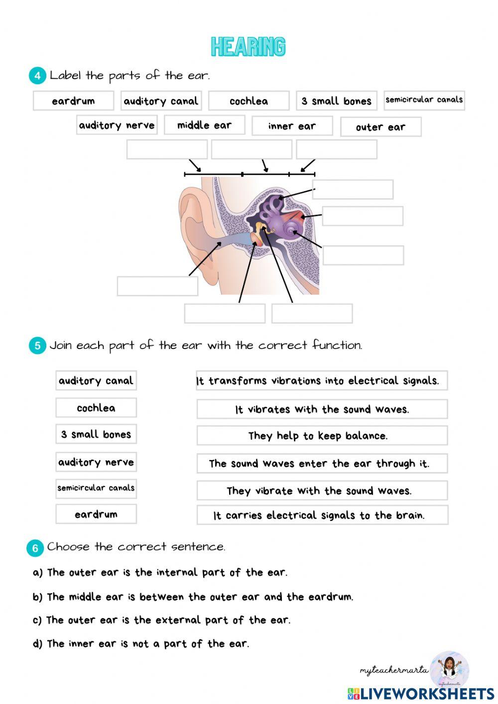 The senses and information 1