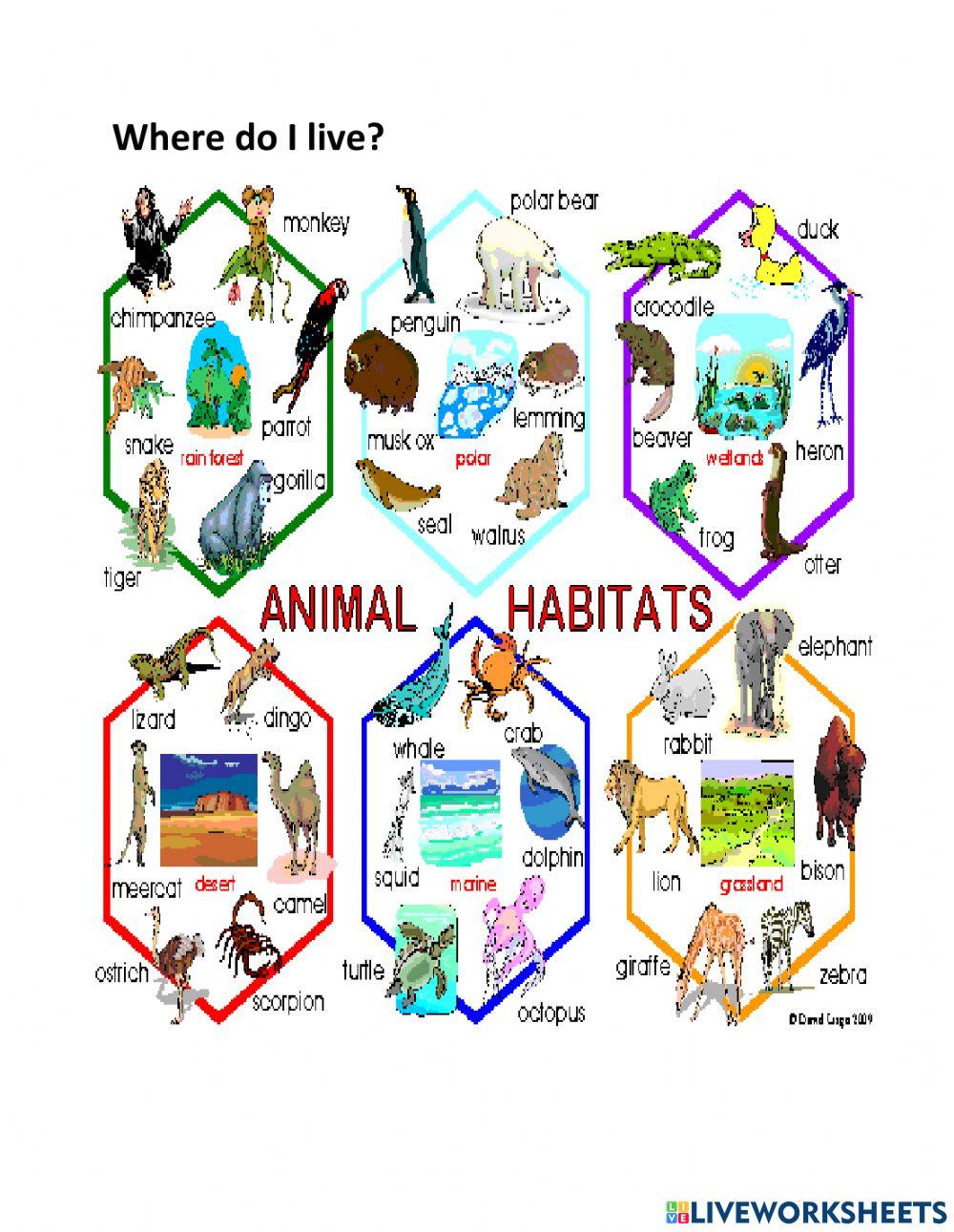 Habitat Anchor Chart online exercise for | Live Worksheets