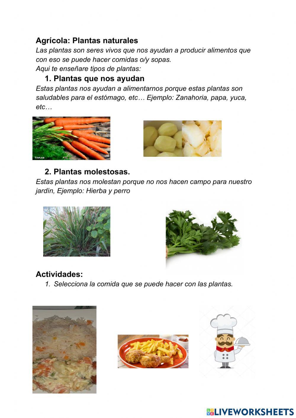 Agricola: Las plantas naturales