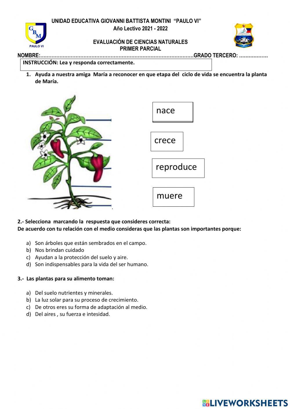 Evaluación i parcial