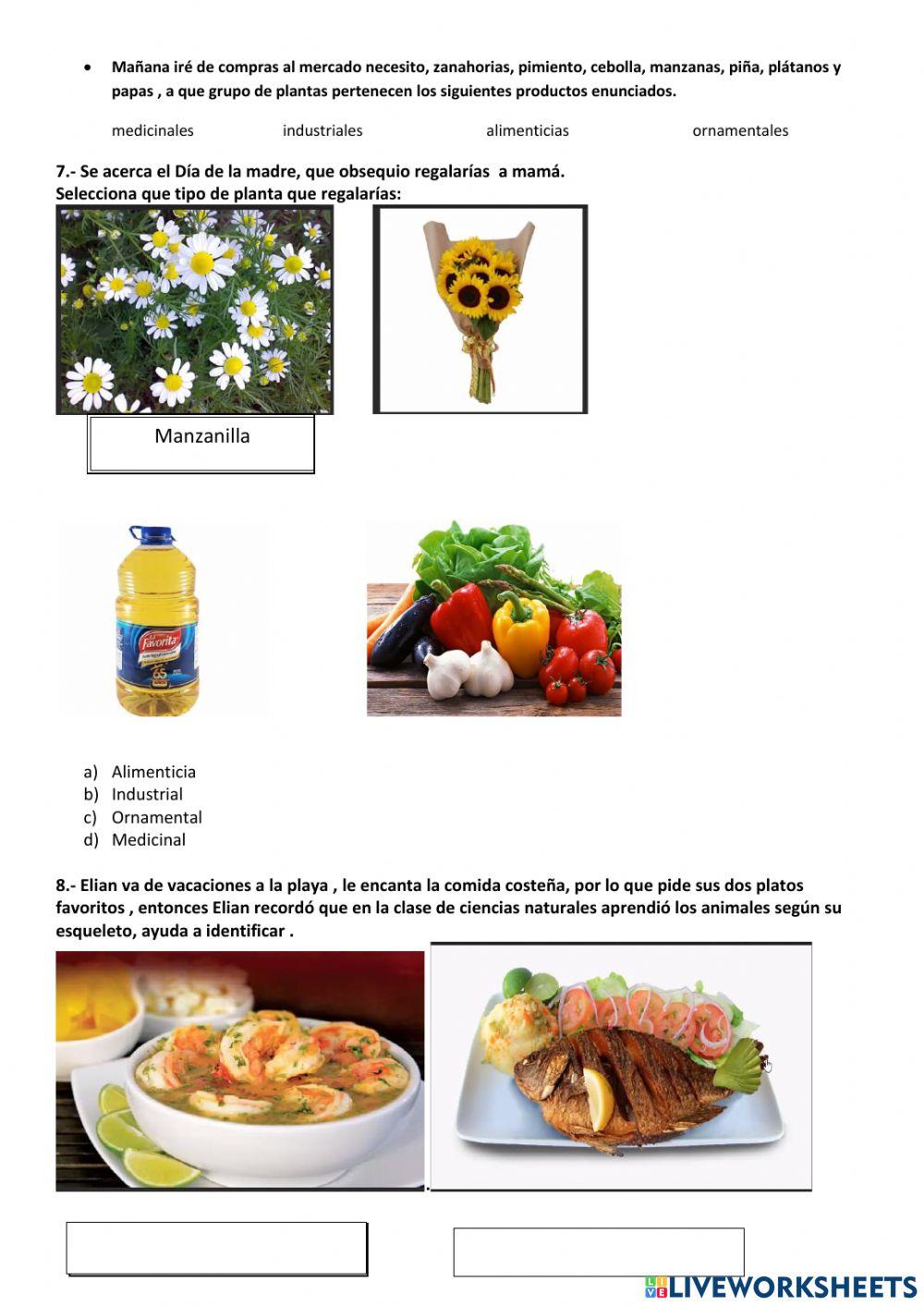 Evaluación i parcial