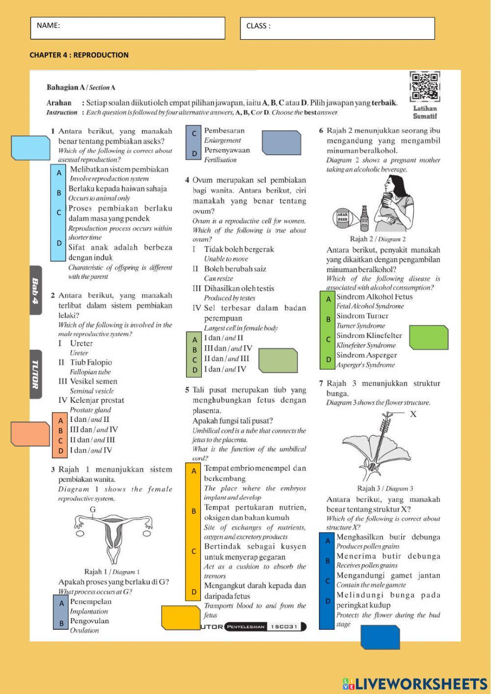 Revison chapter 4 reproduction dwi Revison chapter 4 reproduction dwi