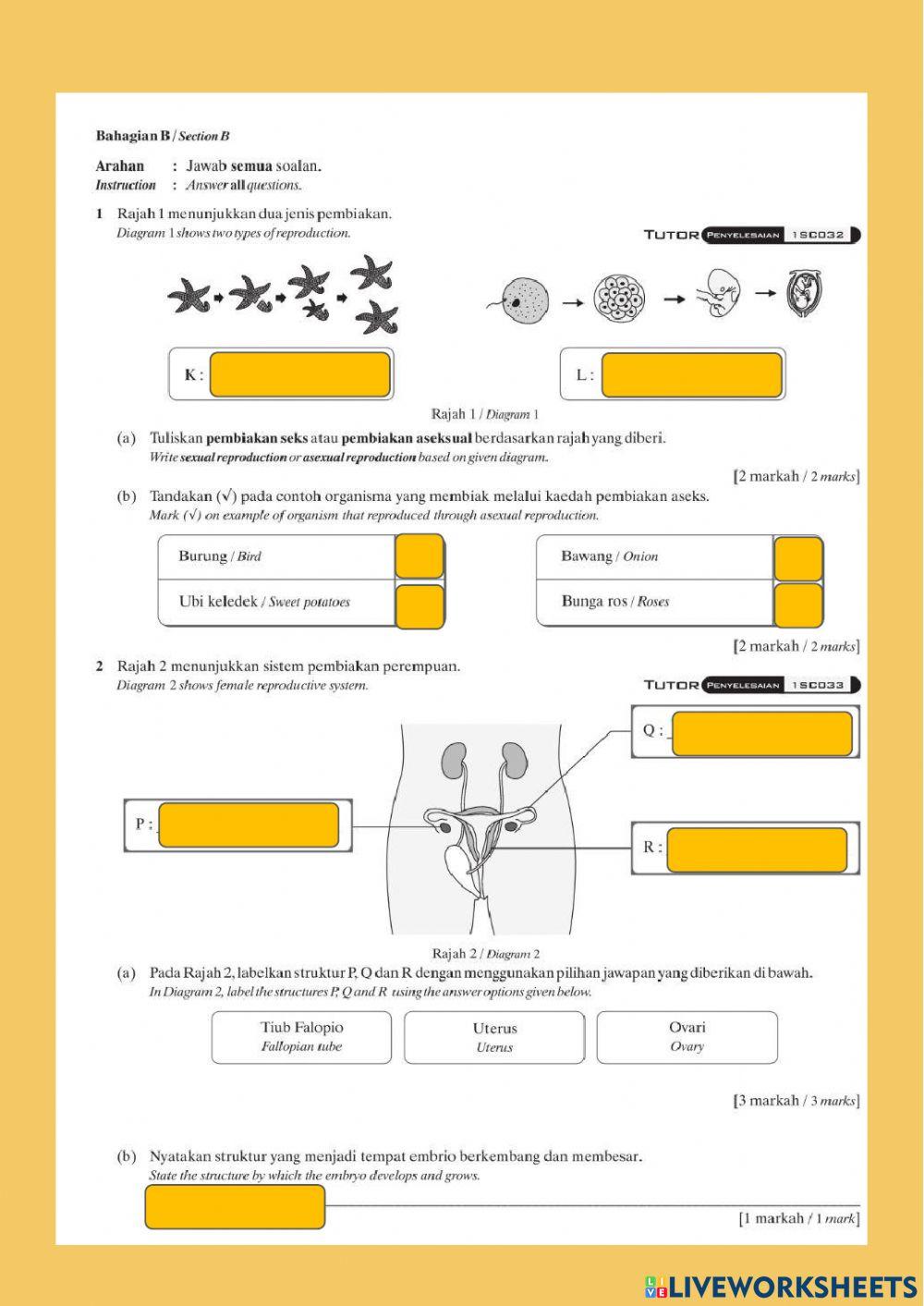 Revison chapter 4 reproduction dwi Revison chapter 4 reproduction dwi