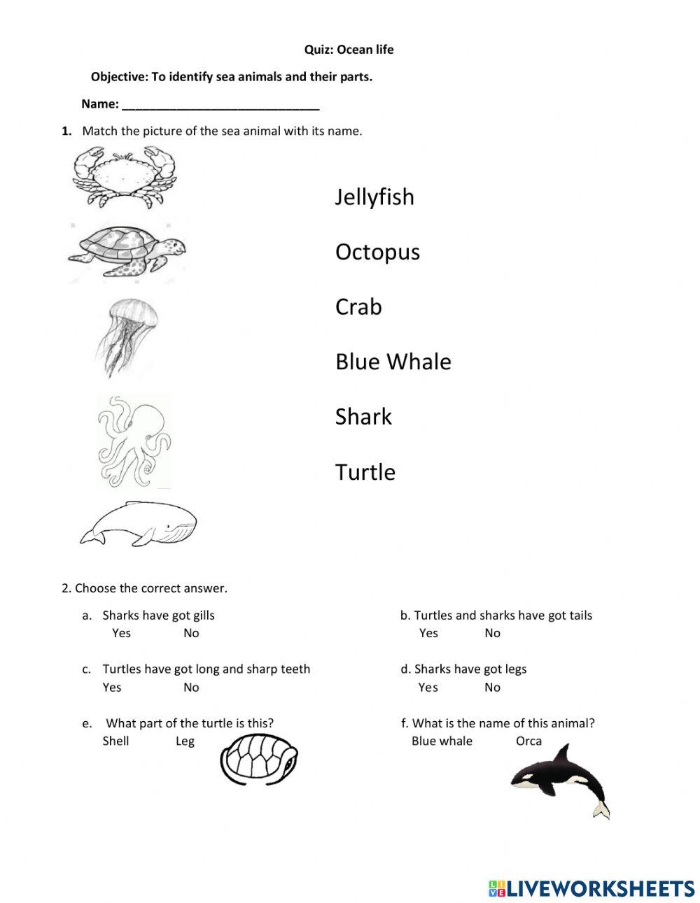 Quiz ocean life online exercise for live worksheets