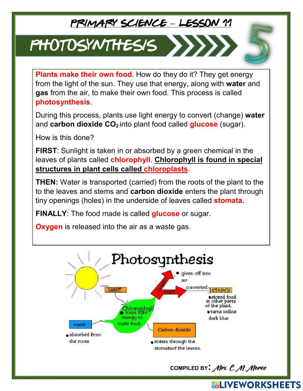 Photosynthesis Photosynthesis