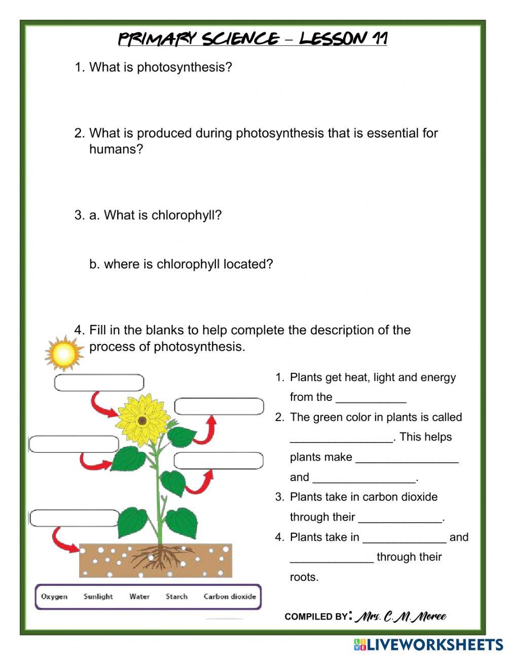 Photosynthesis Photosynthesis