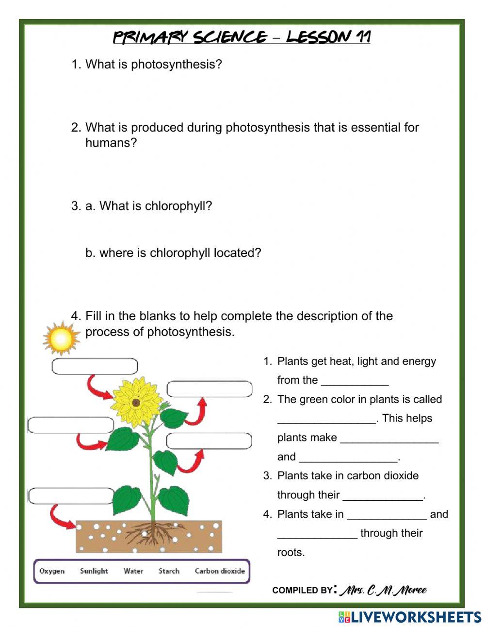 Photosynthesis