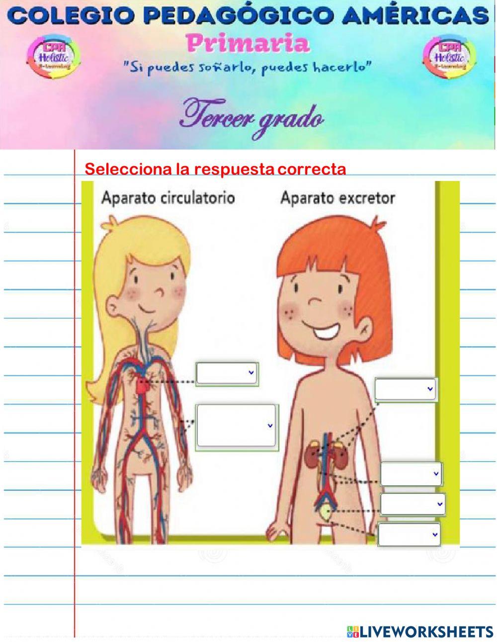 Evaluación