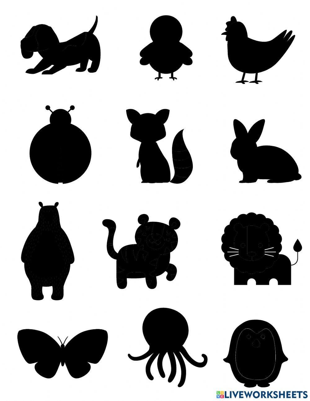 Encuentra la sombra de los animales