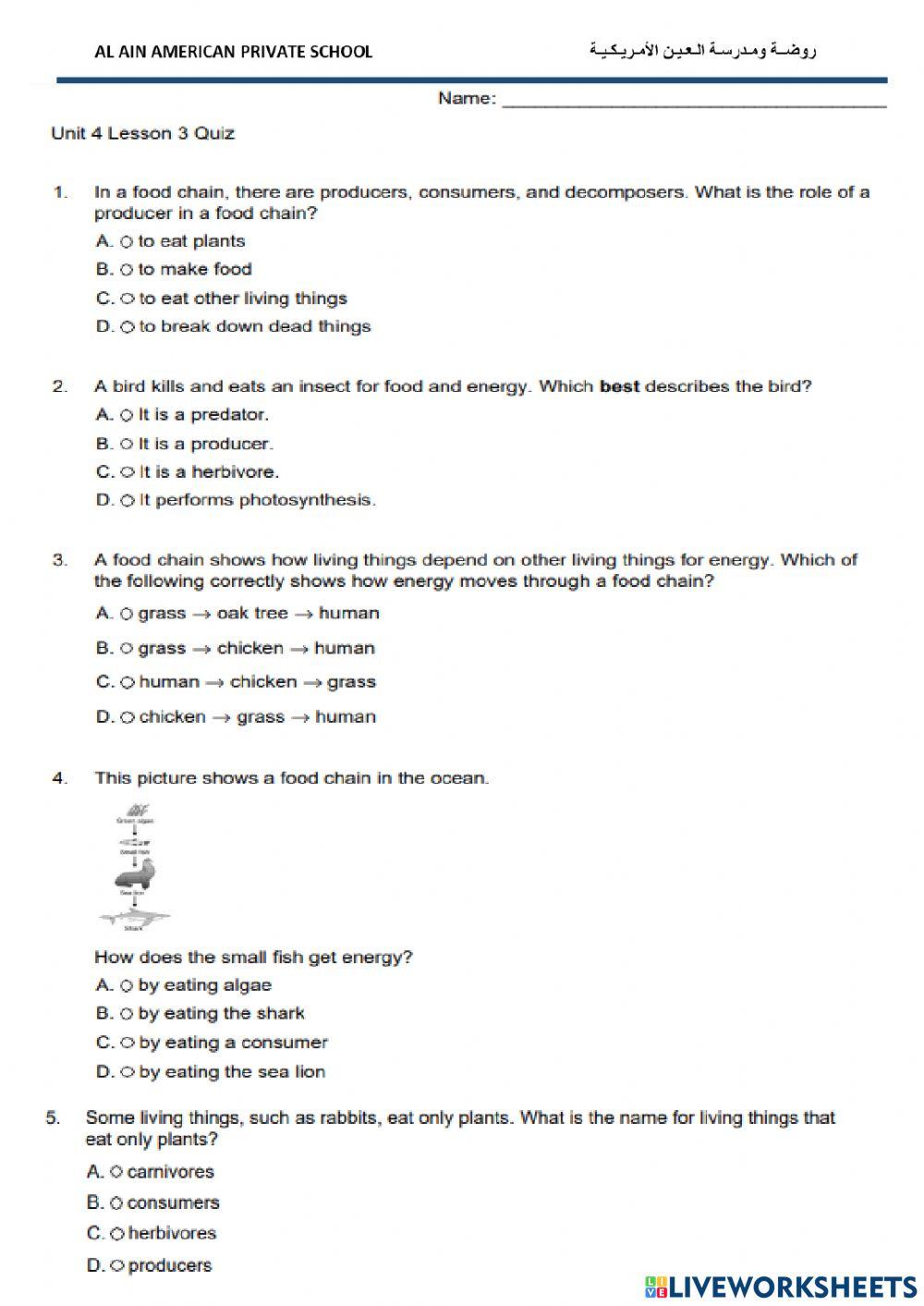 Science Revision Grade 3A online exercise for | Live Worksheets