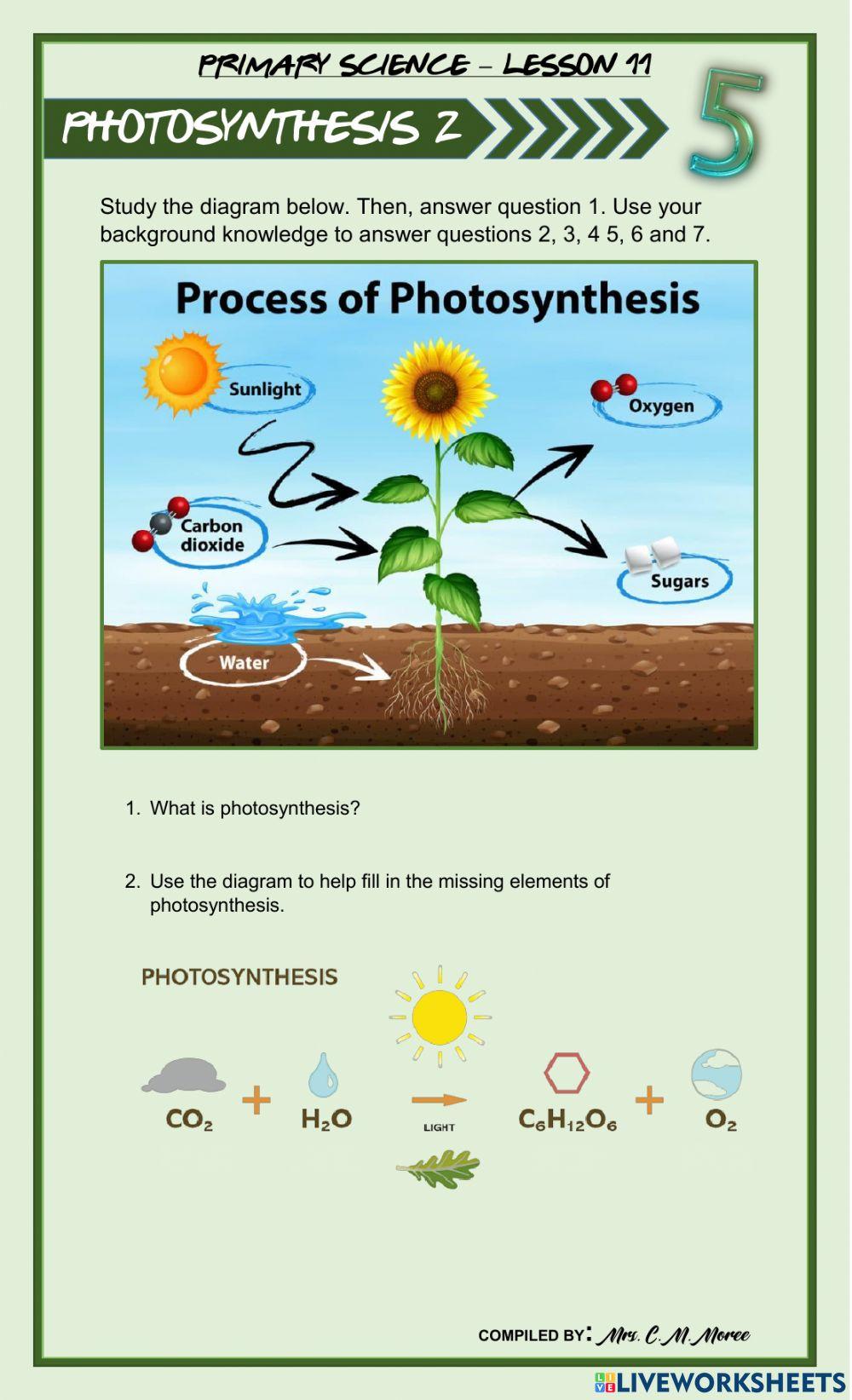 Photosynthesis 2 Photosynthesis 2