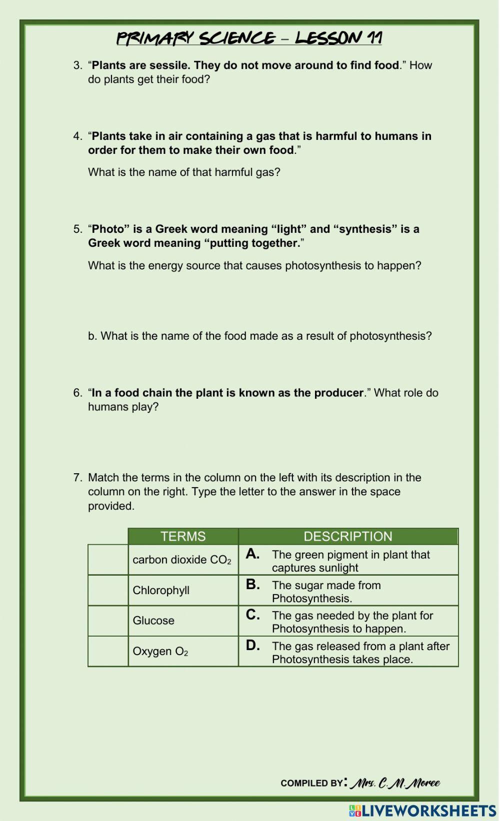 Photosynthesis 2 Photosynthesis 2