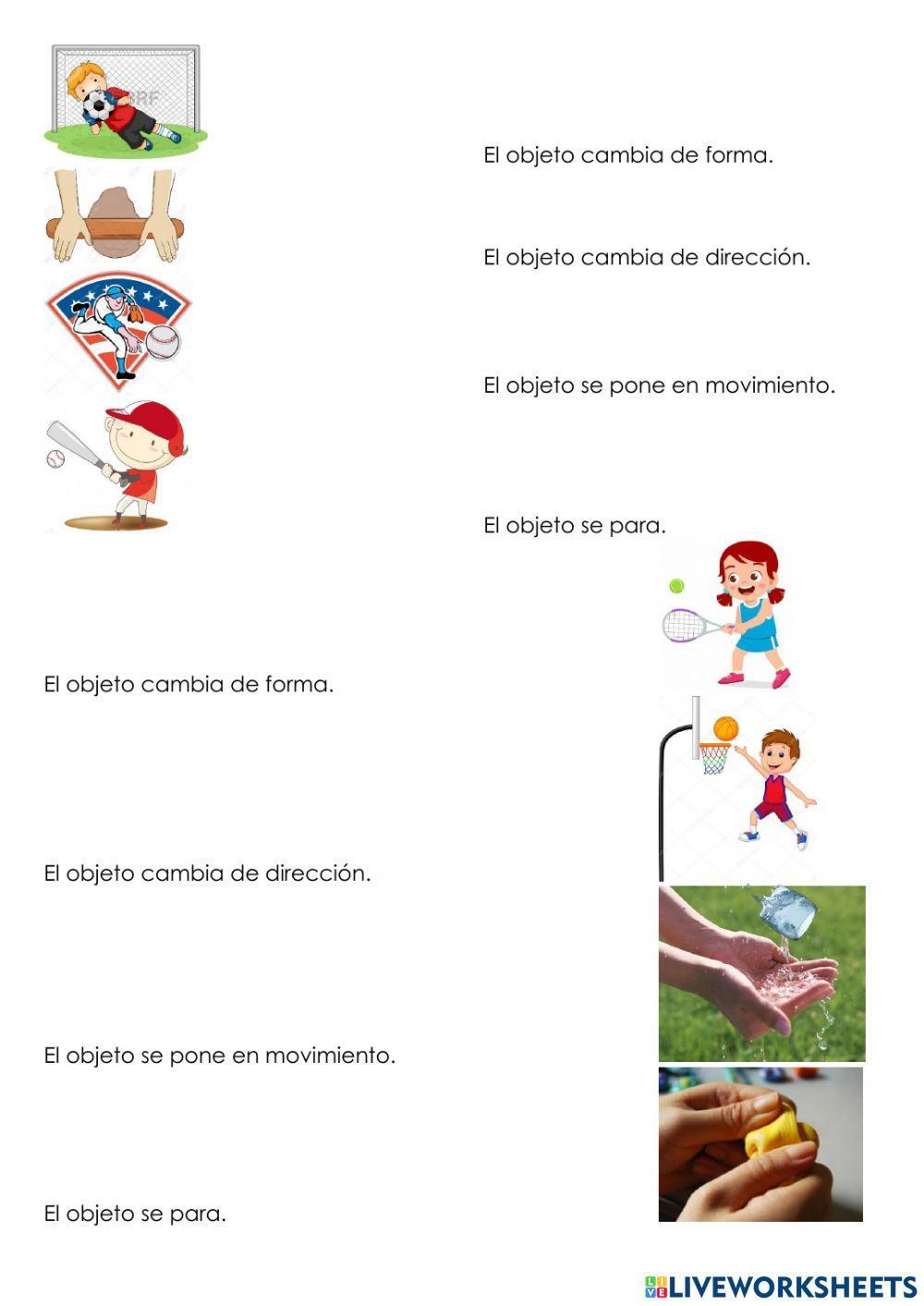 La  fuerza y los efectos en la vida diaria