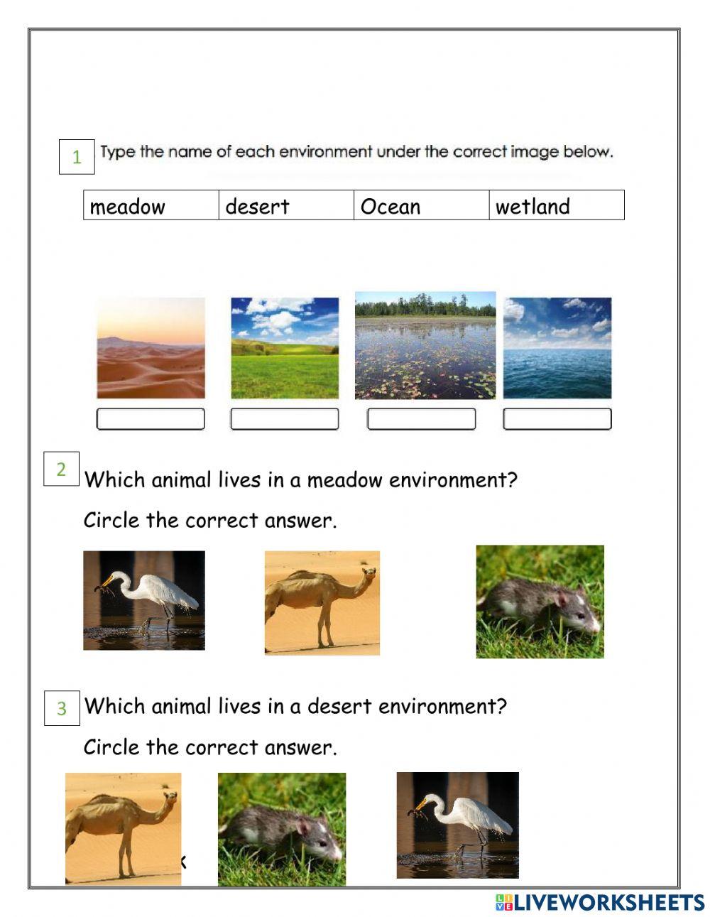Science revision sheet