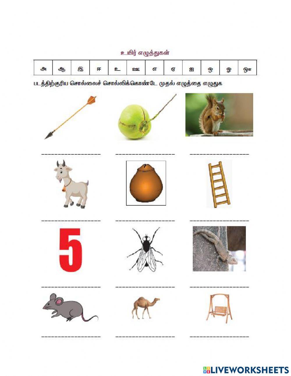 உயிர் எழுத்துகள்