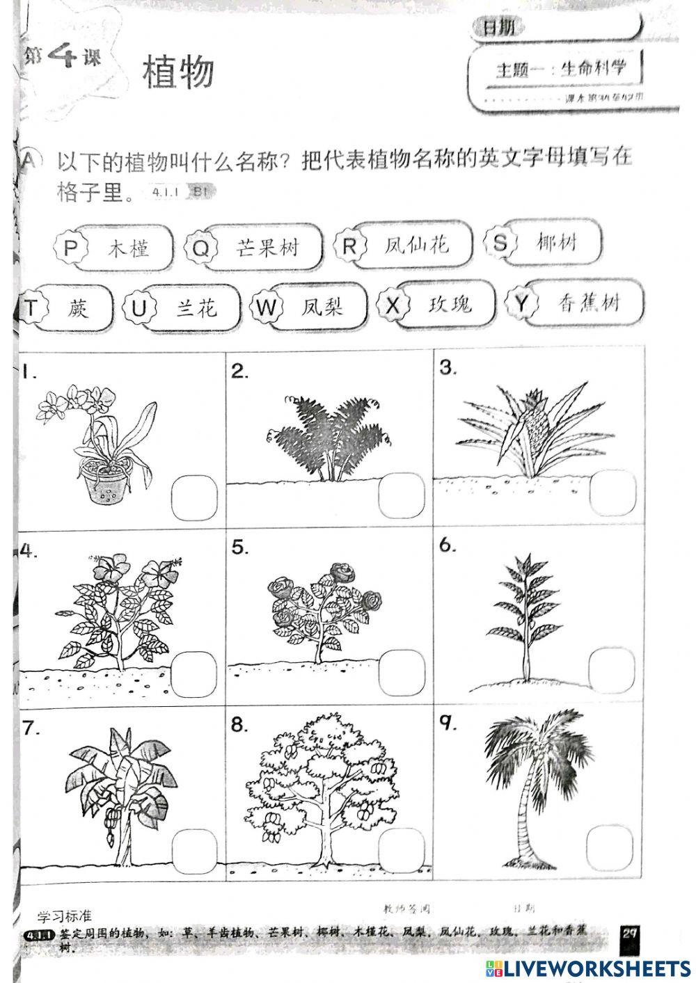 科学-植物