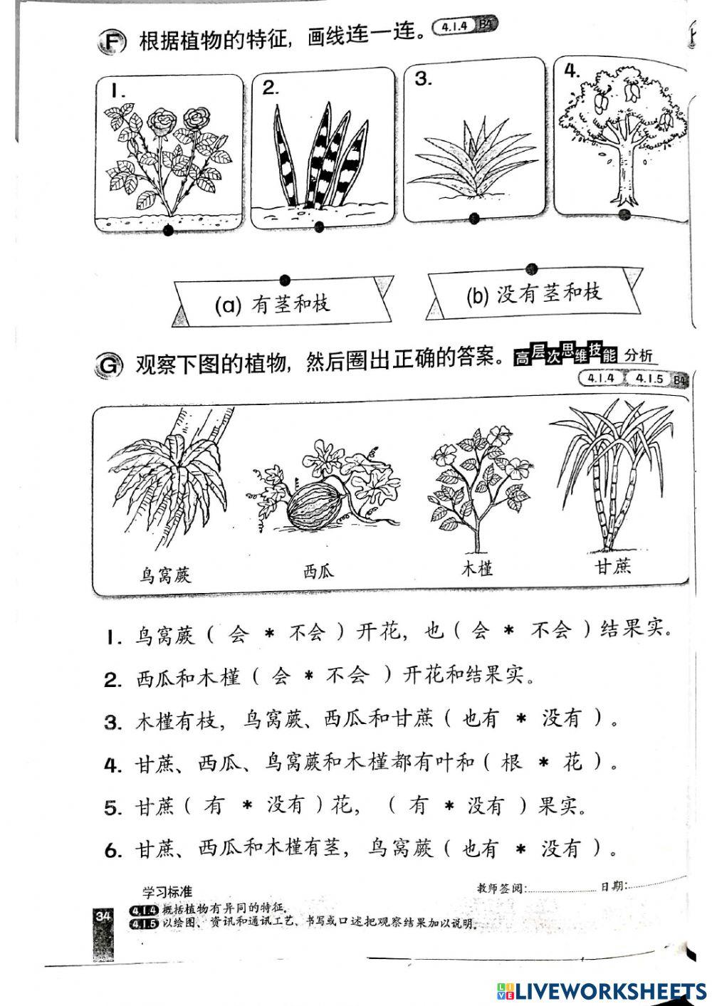 科学-植物