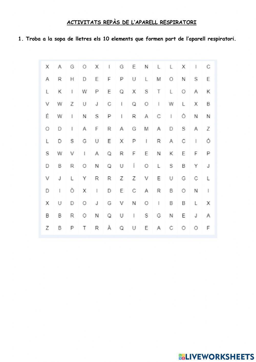 L'aparell respiratori