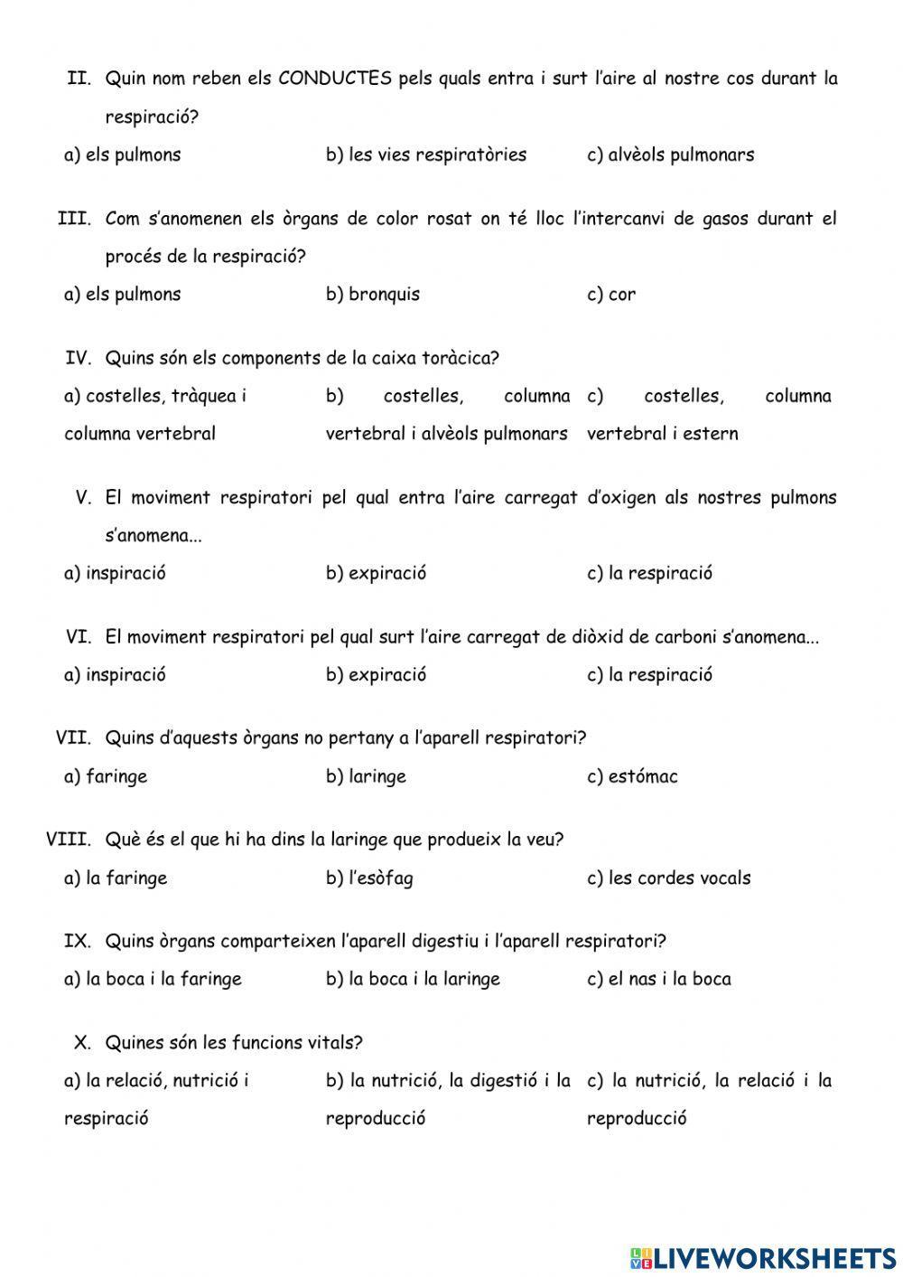 L'aparell respiratori