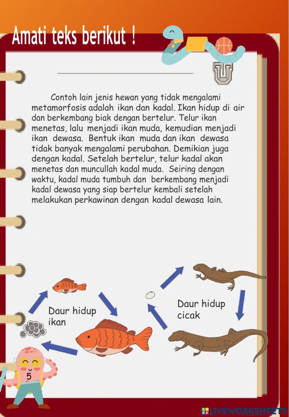 Ekosistem Daur Hidup Hewan