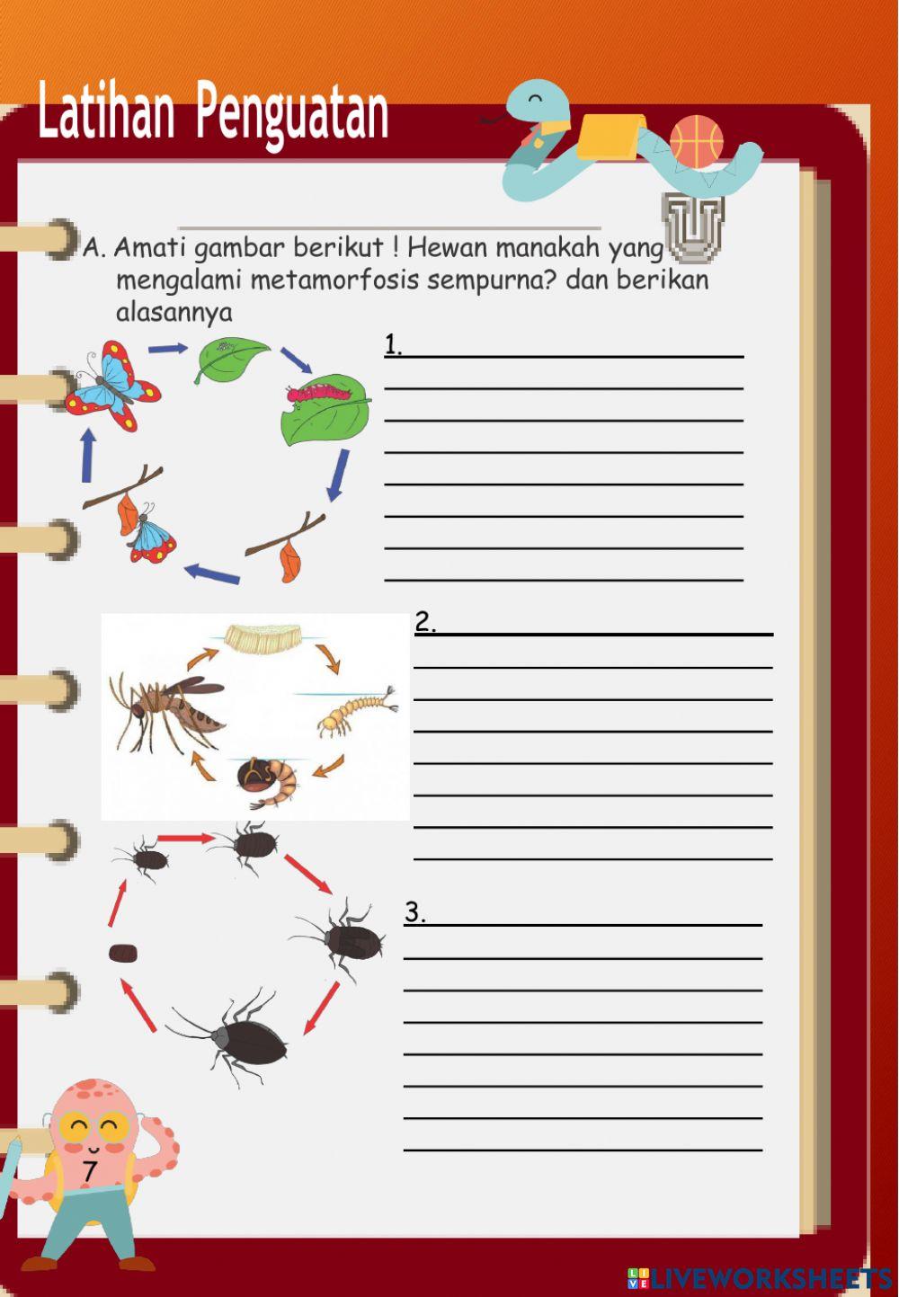 Ekosistem Daur Hidup Hewan