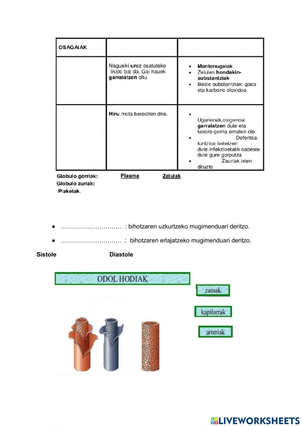 Nutrizioa 2 ariketak